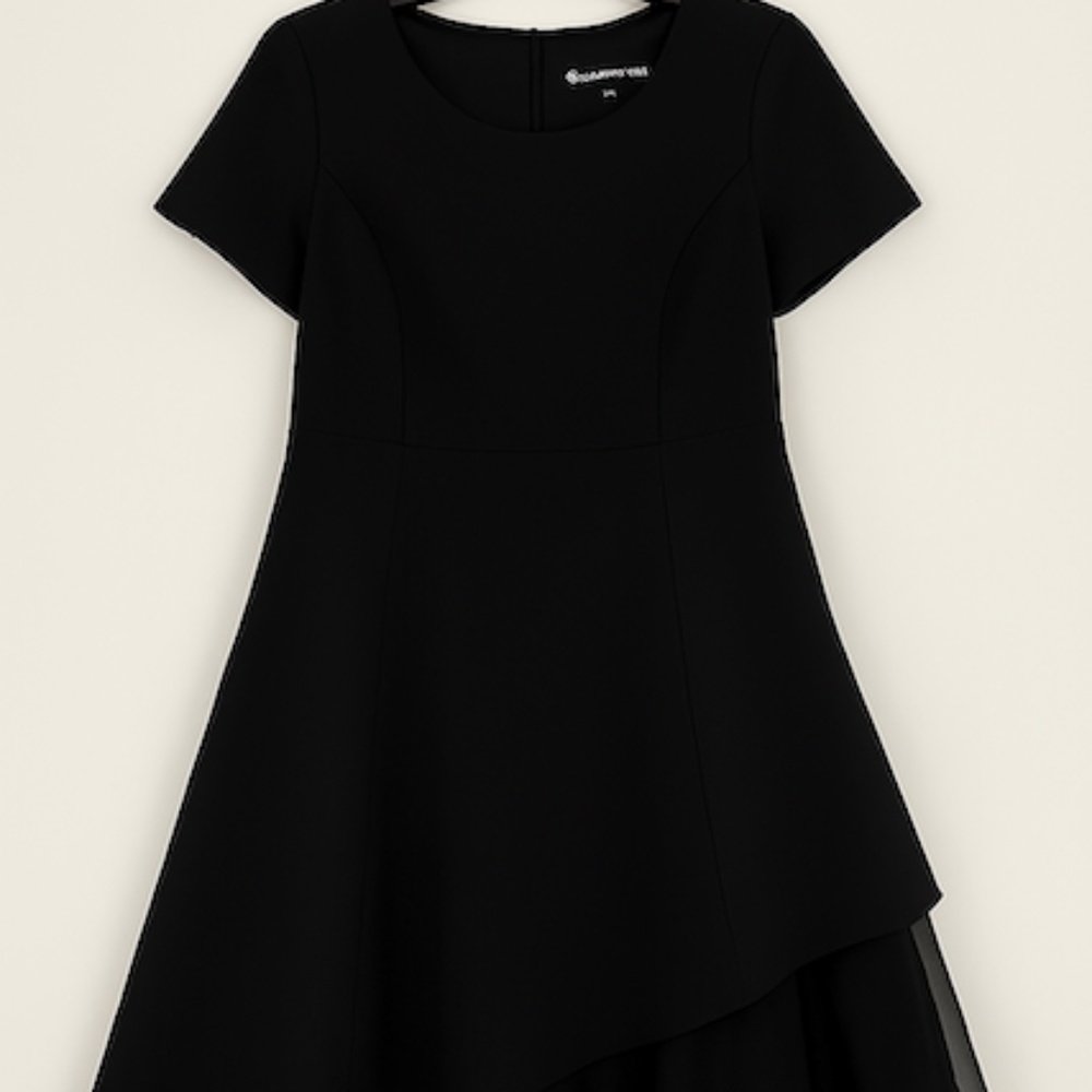 Ark & Ward Elegant Black Fit-and-Flare Dress with Sheer Hem